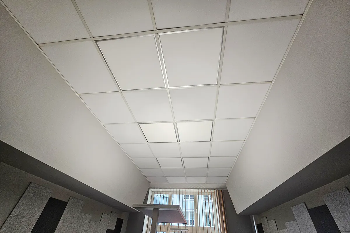 Akustikdecke in einer Odenwalddecke