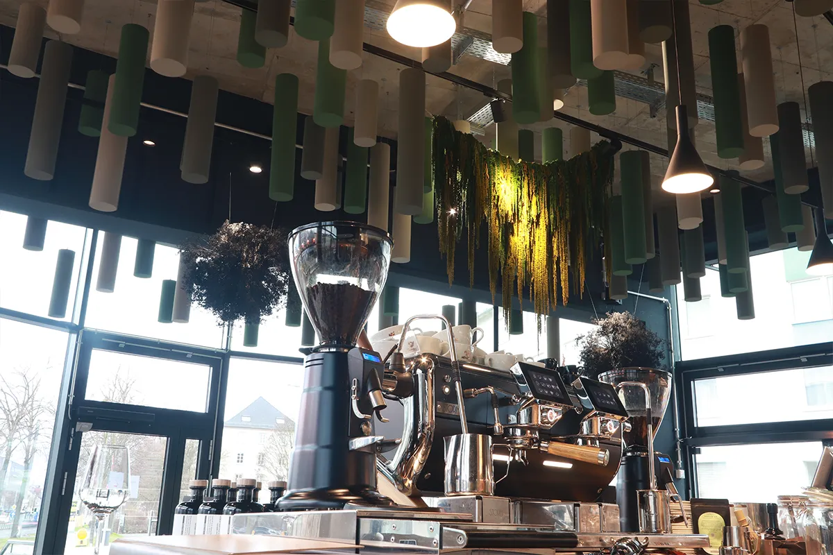 Akustikzylinder von der Decke hängend, gefärbt in Grau und Grün über einer Kaffebar