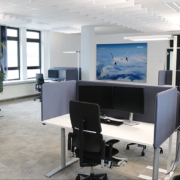 akustische Optimierung und Wandbild bei Albatros