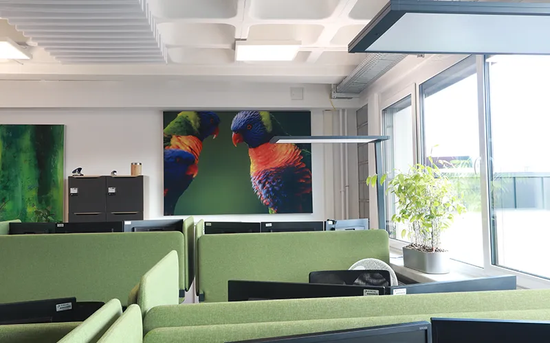 richtige_Beleuchtung_am_Arbeitsplatz_04 Büro mit viel natürlichem Lichteinfall und Tageslichtleuchten