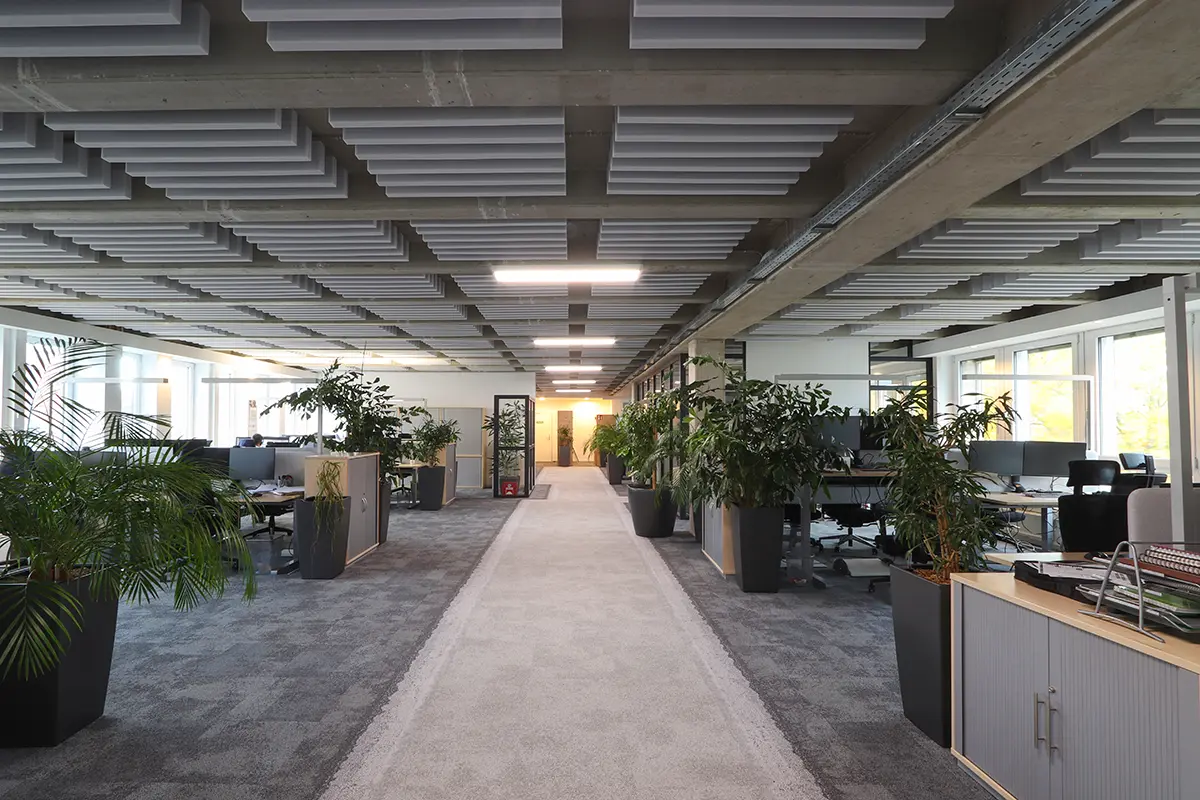 Bürofläche mit Akustikelementen wie Teppichfliesen, Deckenelemente, Screens etc.